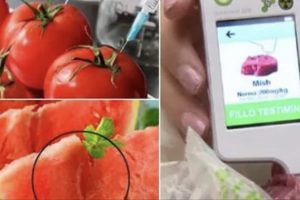 “Pse po na vret o vëlla, çfarë të kanë bërë fëmijët e mi?”