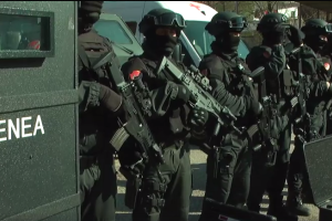 Blici i RENEA në Elbasan, arrestohen 8 punonjës të administratës