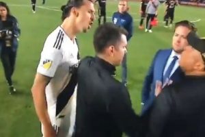 Sherr me kundërshtarin dhe një deklaratë egoiste, Ibrahimoviç jep “show” në fundin e ndeshjes