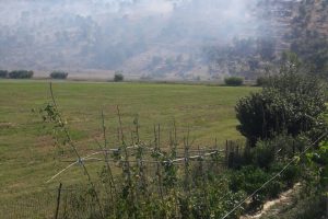 Zjarr i madh në Gjirokastër, shkrumbohen 2 ha tokë. Rrezikohen banesat