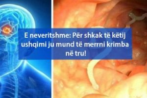 E neveritshme: Për shkak të këtij ushqimi ju mund të merrni krimba në tru!