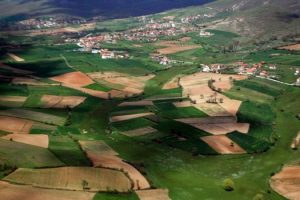 Si do të merren tapitë për tokat që ka bllokuar Kadastra