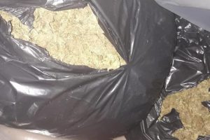Vlorë, finalizohet operacioni i koduar “Ferma”, sekuestrohen 12.4 kg cannabis sativa