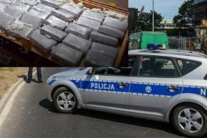 Sasi rekord droge/ Sekuestrohen 2 ton kokainë, vlera në treg arrinte 470 milionë euro