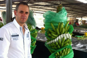 Kokaina në banane/ Shtyhet për të dhjetën herë gjyqi për biznesmenin Arbër Çekaj