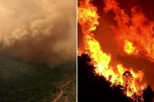 Patagonia e shkatërruar nga zjarret, Argjentina shpall gjendjen e emergjencës: mbi 45 mijë hektarë të djegur