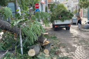 Moti i keq bën ‘kërdinë’, era e fortë shkakton dëme në jug të vendit