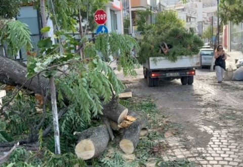 Moti i keq bën ‘kërdinë’, era e fortë shkakton dëme në jug të vendit