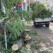 Moti i keq bën ‘kërdinë’, era e fortë shkakton dëme në jug të vendit