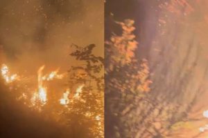 Situatë kritike nga zjarret në Lurë! Flakët jashtë kontrollit, rrezikojnë banesa të banuara