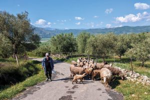 Blegtorët i drejtohen qeverisë me 7 kërkesa, nga heqja e akcizës te nafta te rialokimi i fondeve