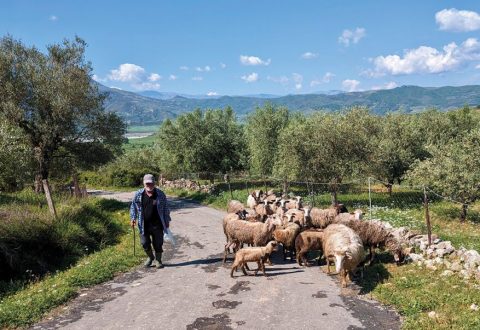Blegtorët i drejtohen qeverisë me 7 kërkesa, nga heqja e akcizës te nafta te rialokimi i fondeve